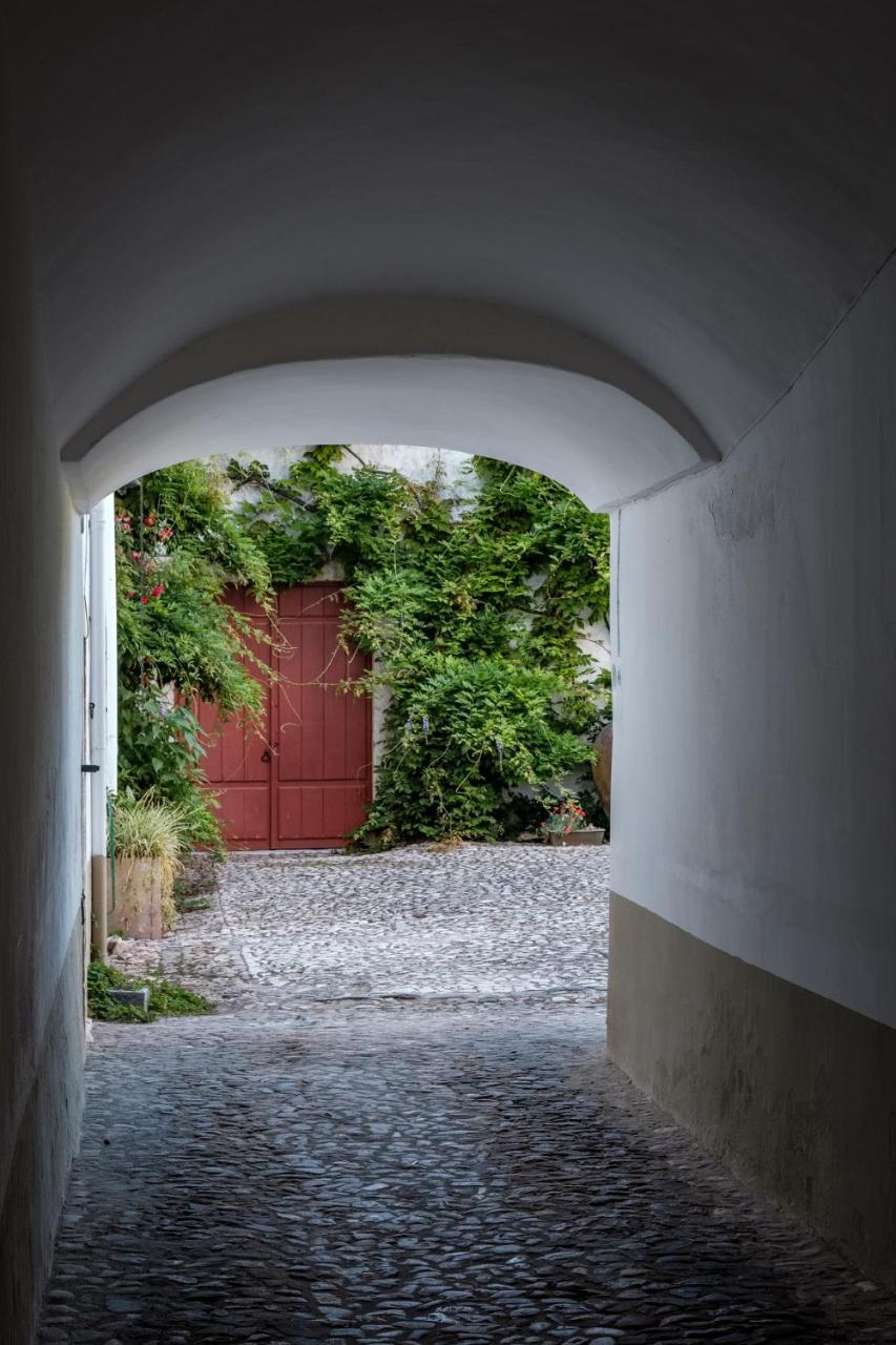 Casa De Borba Villa Bagian luar foto